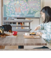 犬カフェ特集