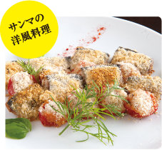 ޤιѥʴ