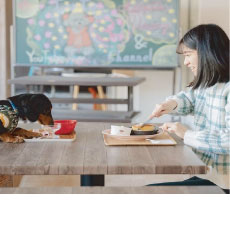 犬カフェ特集